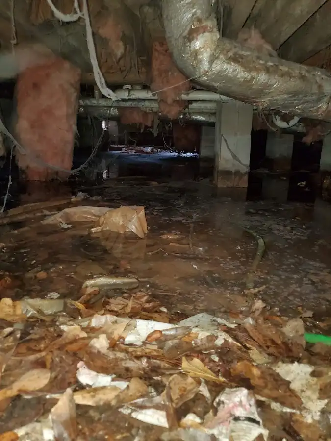 Crawl space flood assessment for Leak Detection & Repair in Bloomfield