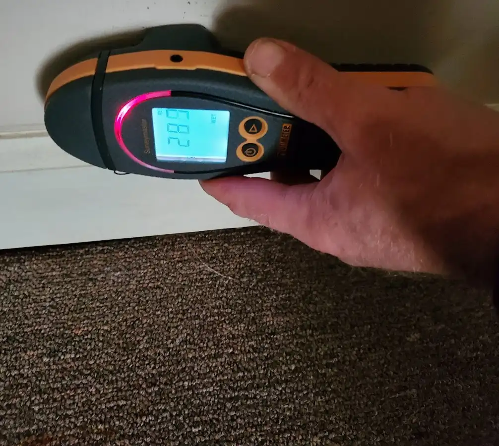 Moisture detection at baseboard during Burst Pipe Cleanup in Bloomfield